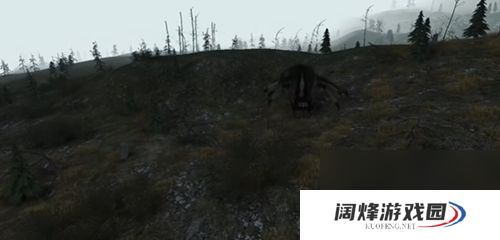 特异区online游戏类型介绍