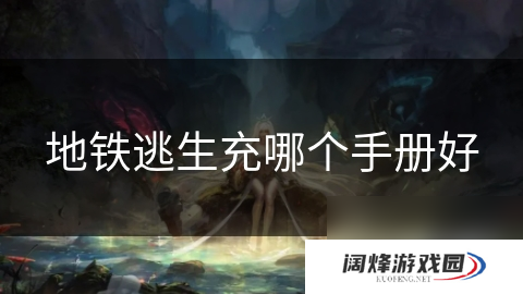 地铁逃生充哪个手册好