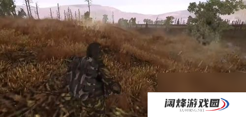 特异区online游戏类型介绍