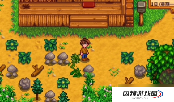 星露谷物语新手选哪个农场