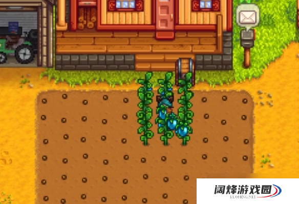 星露谷物语进阶任务怎么触发