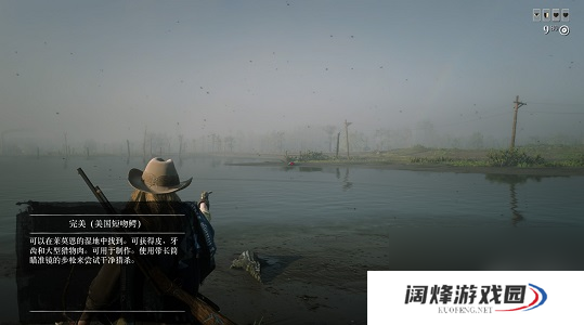 荒野大镖客2完美皮打猎技巧是什么