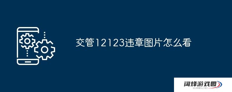 交管12123违章图片怎么看