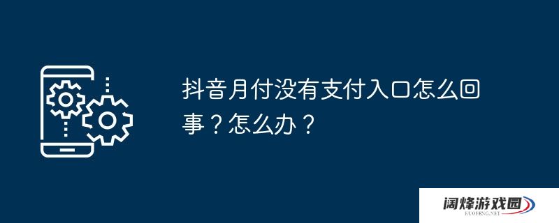 抖音月付没有支付入口怎么回事?怎么办?