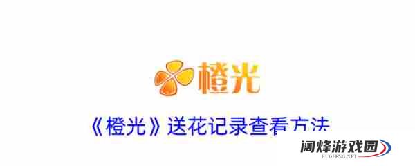 橙光app怎么看送了多少花 橙光送花记录查看方法