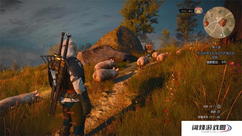 巫师3为什么储存不了游戏