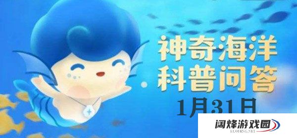 红珊瑚就是红颜色的珊瑚吗