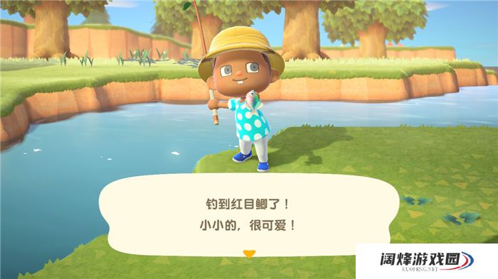 动物森友会钓鱼技巧