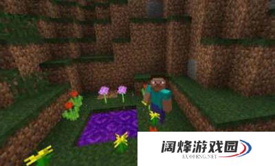 我的世界暮色森林传送门怎么搭建 传送门建造指南
